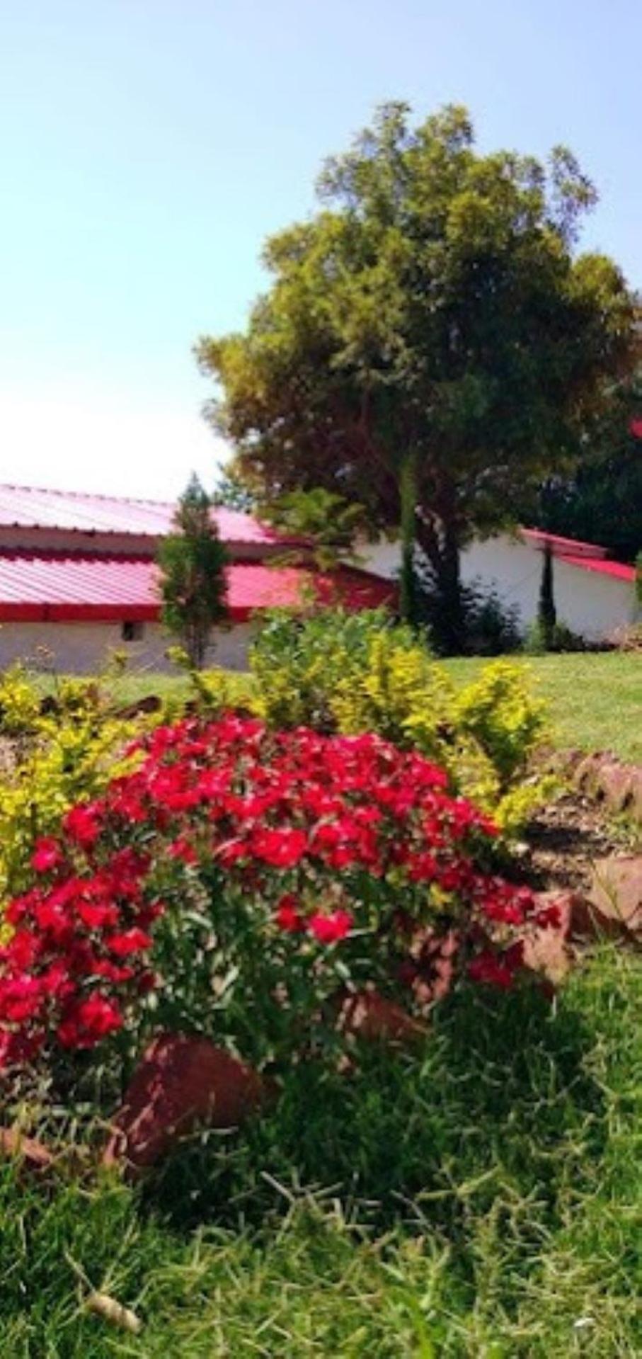 The Village Retreat Resort , Guptkashi Gupta Kāshi Eksteriør billede